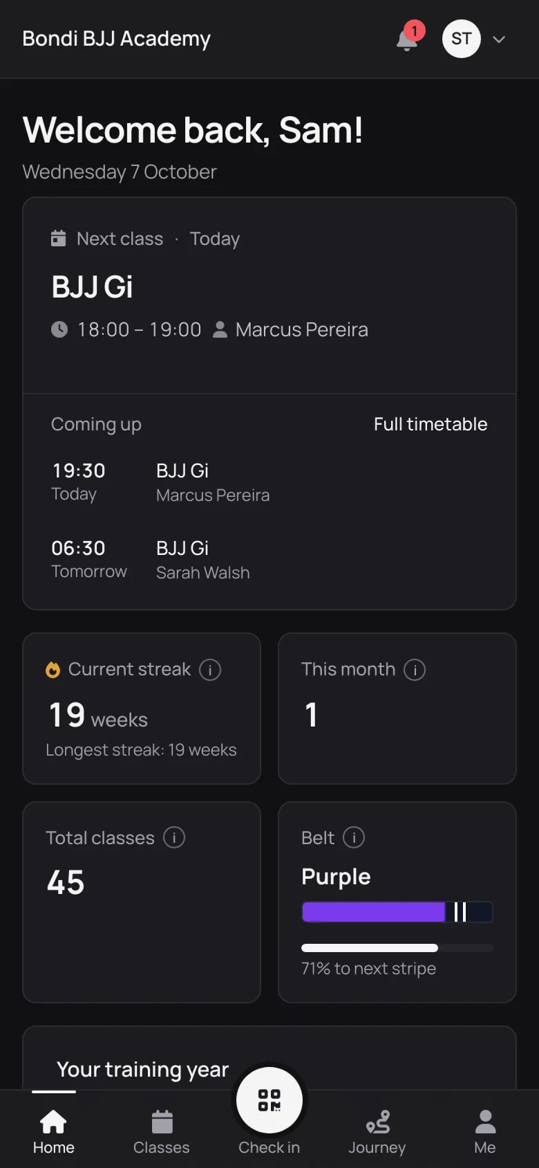 Member app home screen: the next class, classes coming up, a 19-week streak, 45 classes and purple belt progress with two stripes.